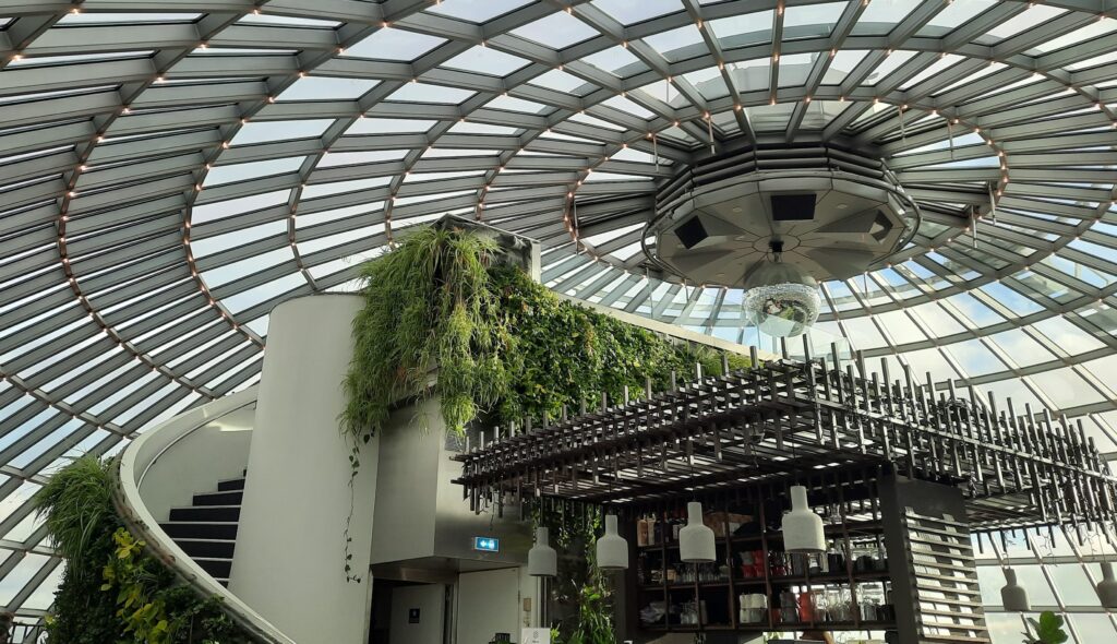 The view up to the roof in the Perlan restaurant. The top of the bar is visible with glasses hanging in a wooden rack. Left of it is a whit twirling staircase going up. Hanging on the ledge are green plants. The roof is a spiral in multiple circles, looking a bit like the roster of a vent. 