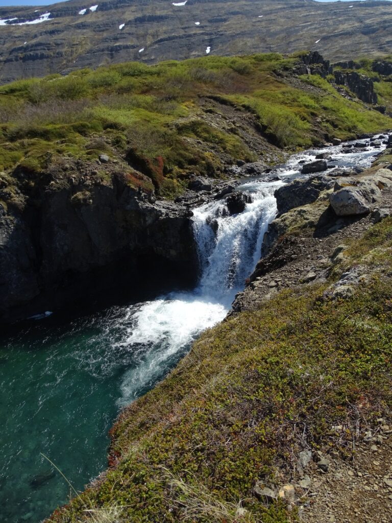 A part of the Gervidalssáfoss with its green/blue water flowing between green waterfall/riverbeds. De green is mostly moss with crowberries and blueberries. 