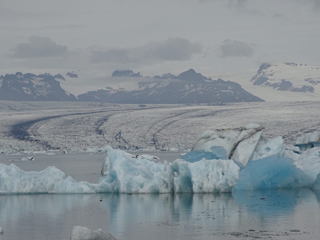 Floating blue iceberg with ashblack stripes in Jökulsárlón, the glacier lagoon. In the background you can see the glacier tongue Breiðarmerkurjökull. And some tops of the mountains. If you look really closely you can see an Eider enjoying the calm lagoon. 