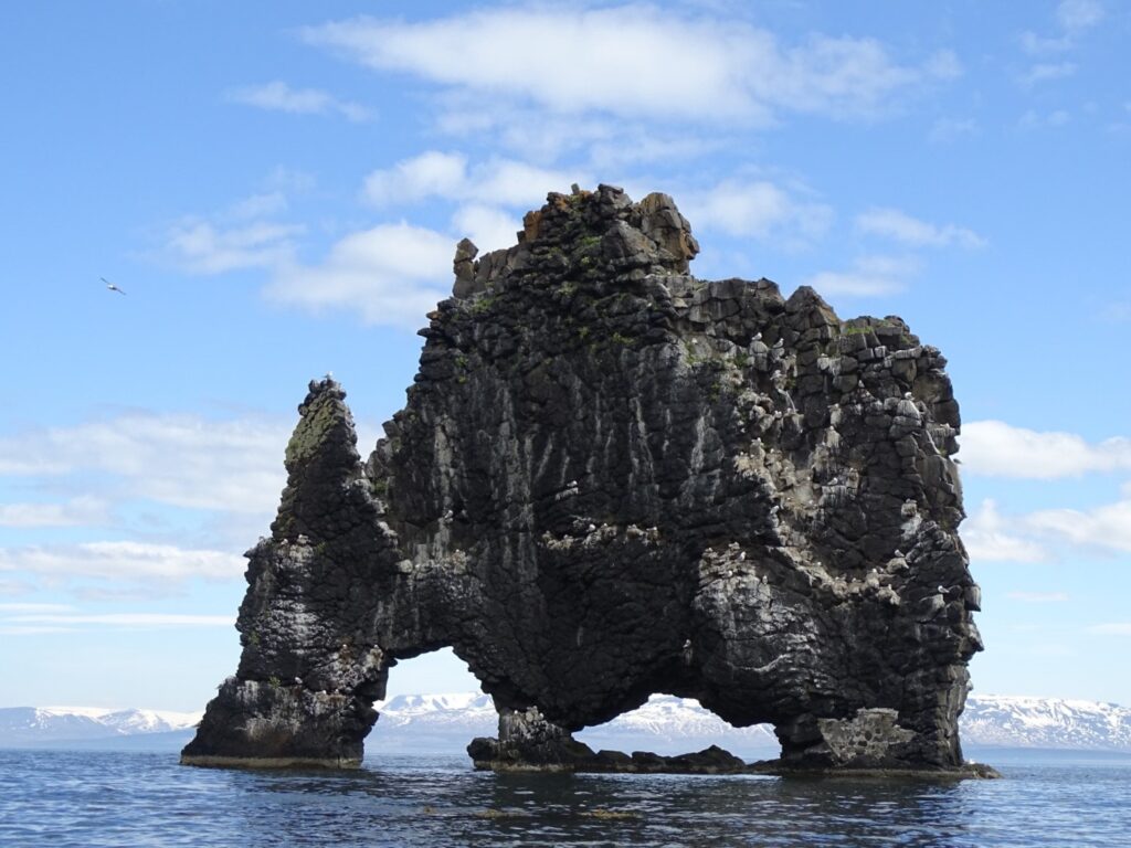 The rock formation Hvitserkur standing in the water with glaciers in the background. Blue water and blue skies. On the rock are Fulmars and Kittiwakes.