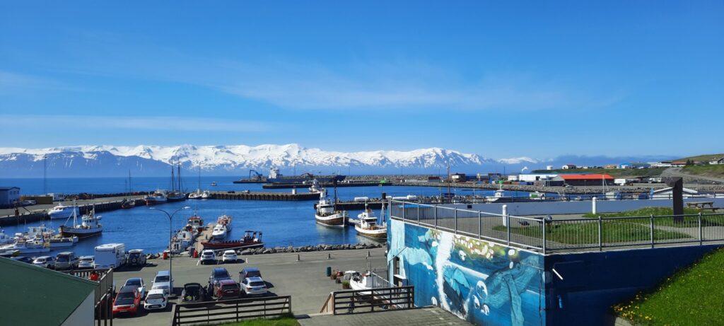 The view of the harbour looking out on the whale watching boats and Kinnarfjöll, the mountain ridge where snow never melts. Between the harbour and the mountains is the Skjálfandi Bay. 