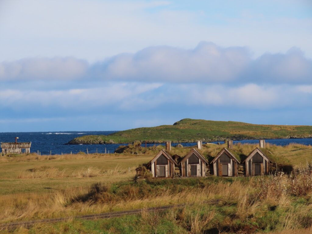 4 wooden Alfhol (or elf house) in a small hillside covered in green and yellow grass. In the back there is a fjord between another peninsula. 