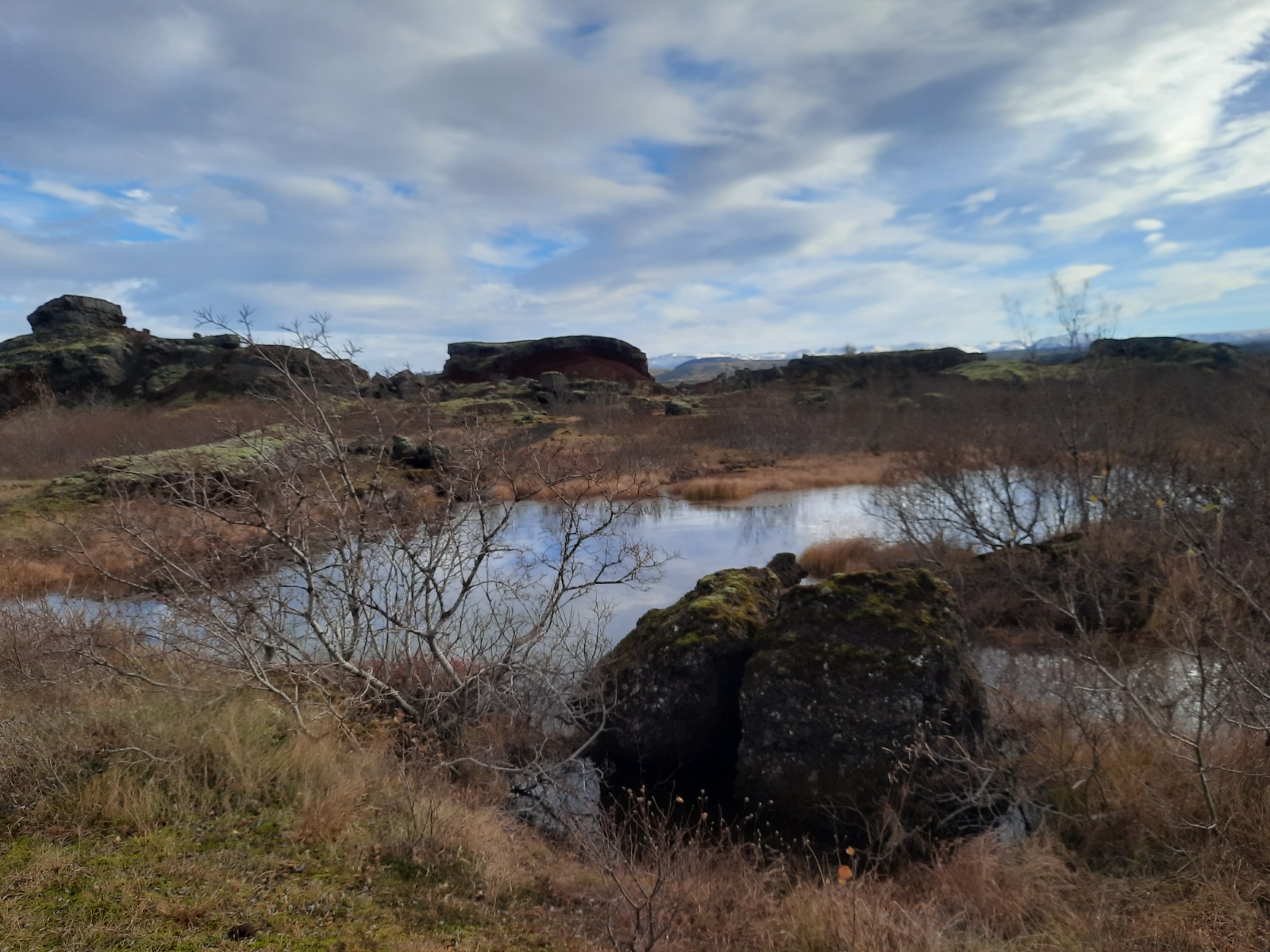 Pond on a lava field