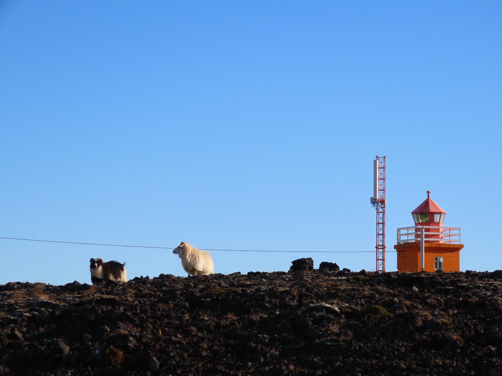 dark underground with ontop two sheep and an orange lighthouse